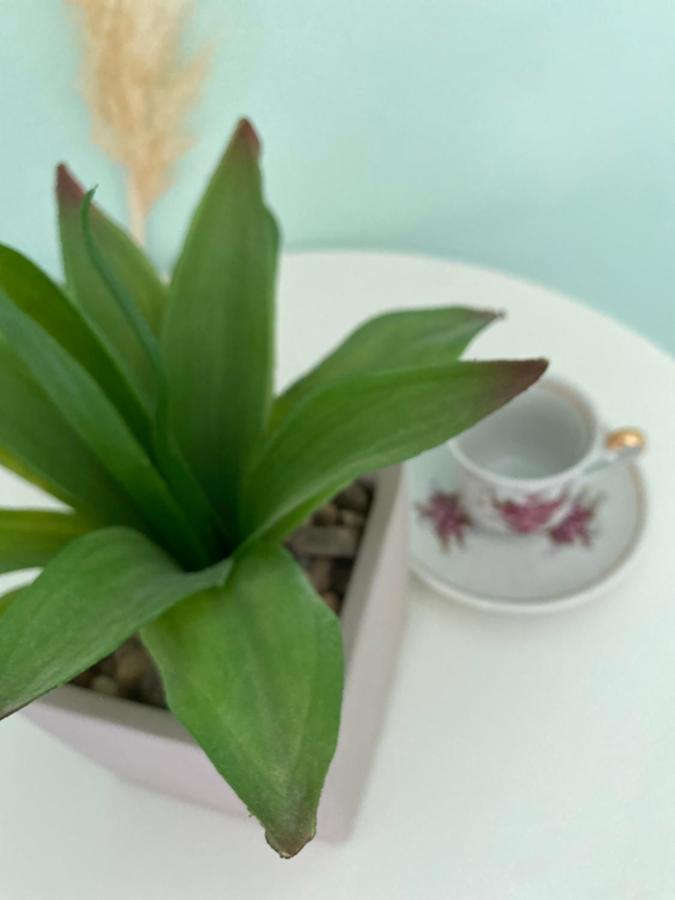 Hisa Megiclinic - Apartments & Healing Center 科巴里德 外观 照片
