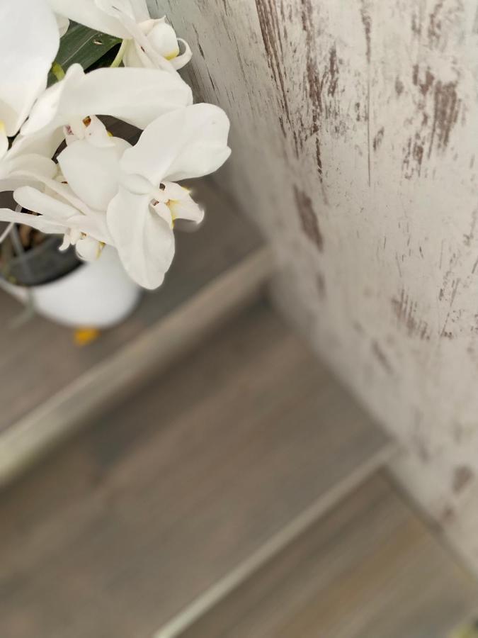 Hisa Megiclinic - Apartments & Healing Center 科巴里德 外观 照片