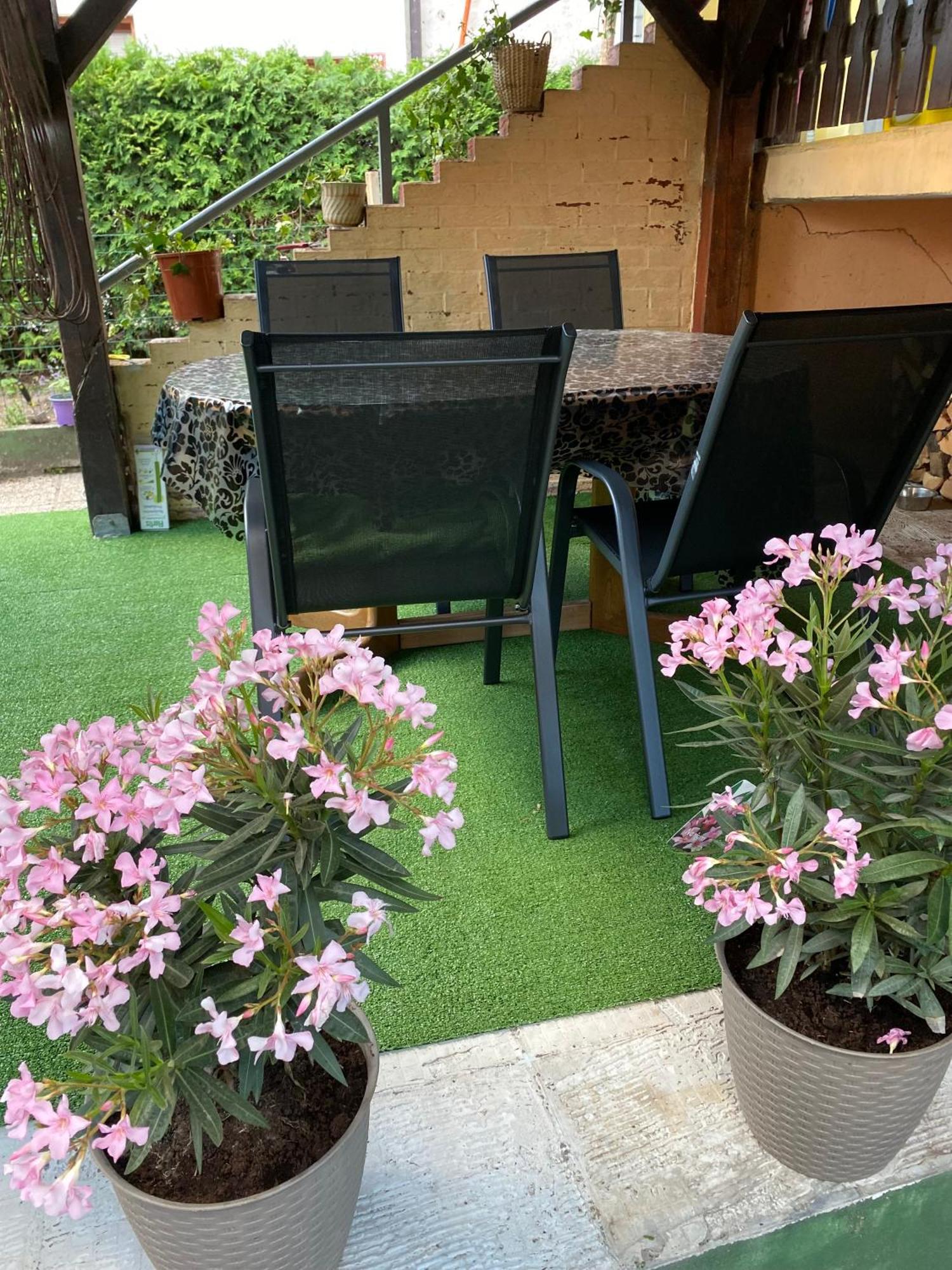 Hisa Megiclinic - Apartments & Healing Center 科巴里德 外观 照片