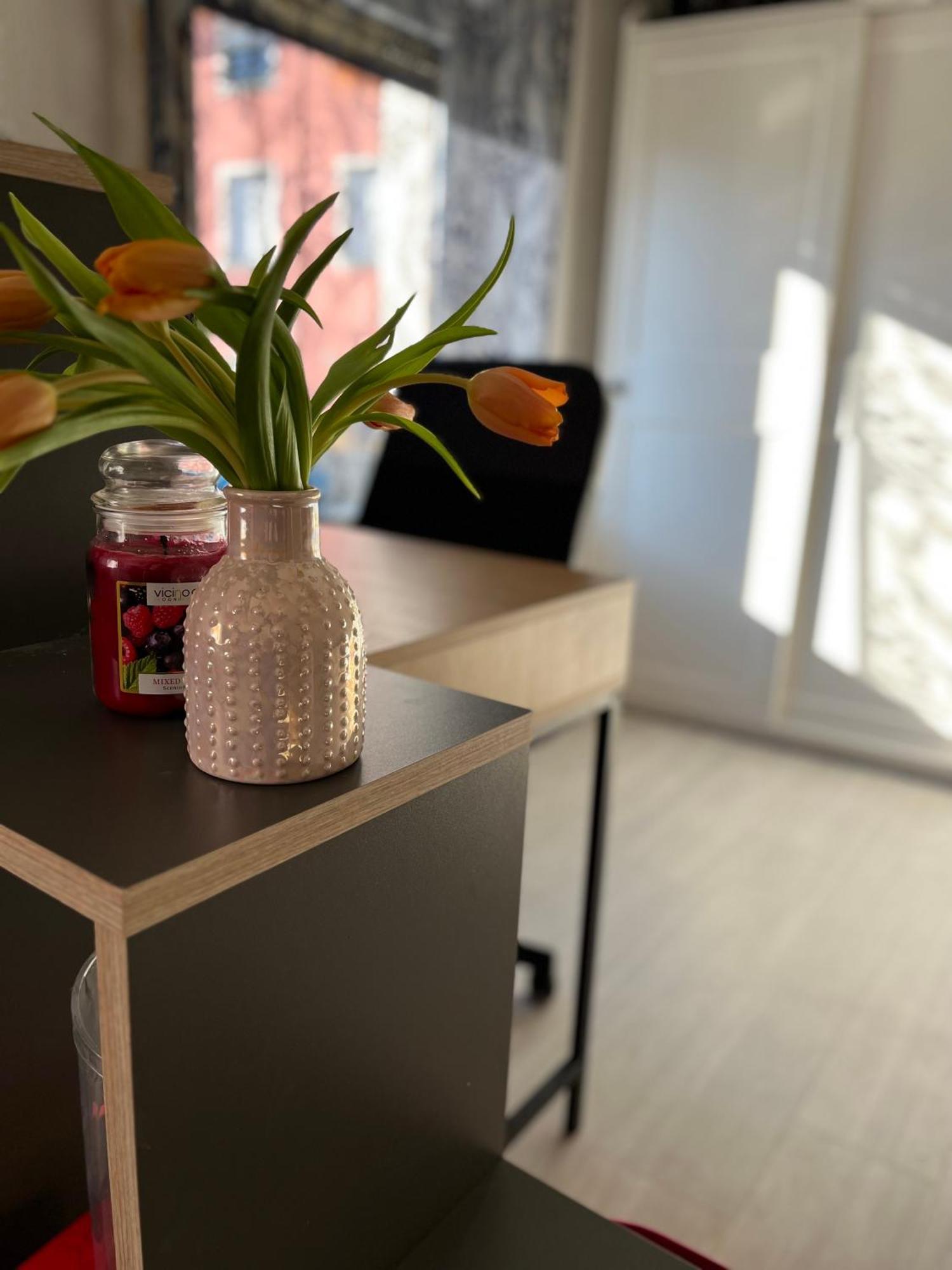 Hisa Megiclinic - Apartments & Healing Center 科巴里德 外观 照片