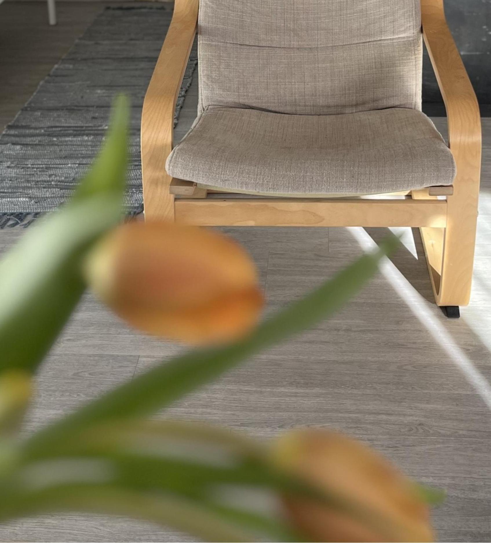 Hisa Megiclinic - Apartments & Healing Center 科巴里德 外观 照片