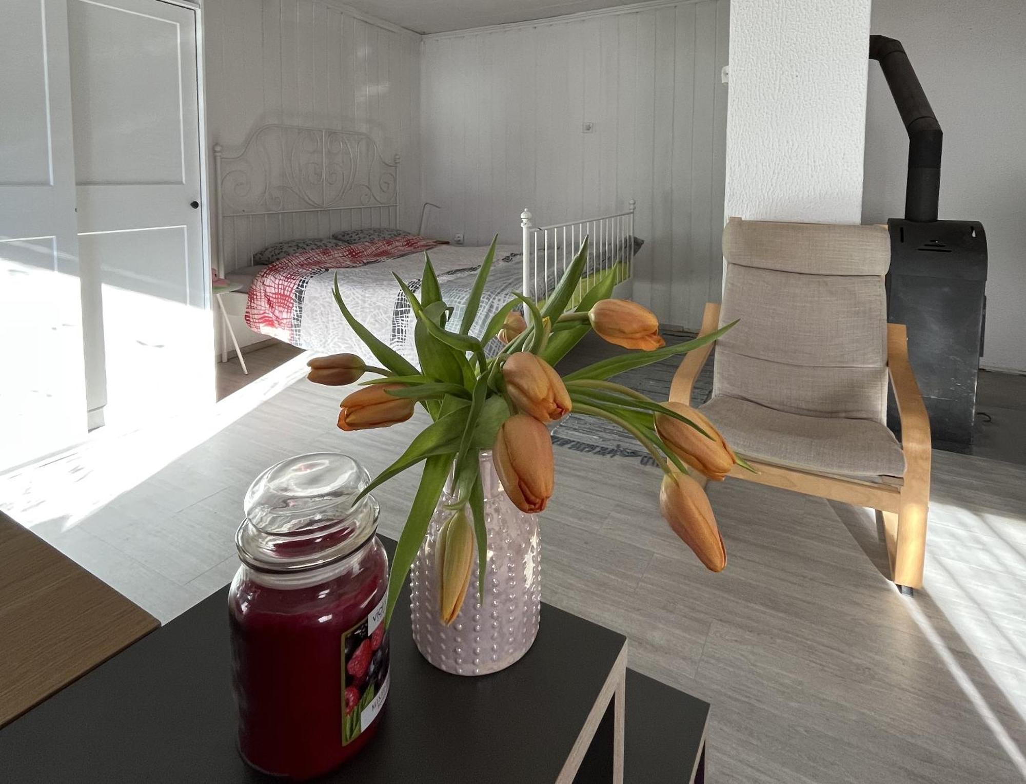 Hisa Megiclinic - Apartments & Healing Center 科巴里德 外观 照片