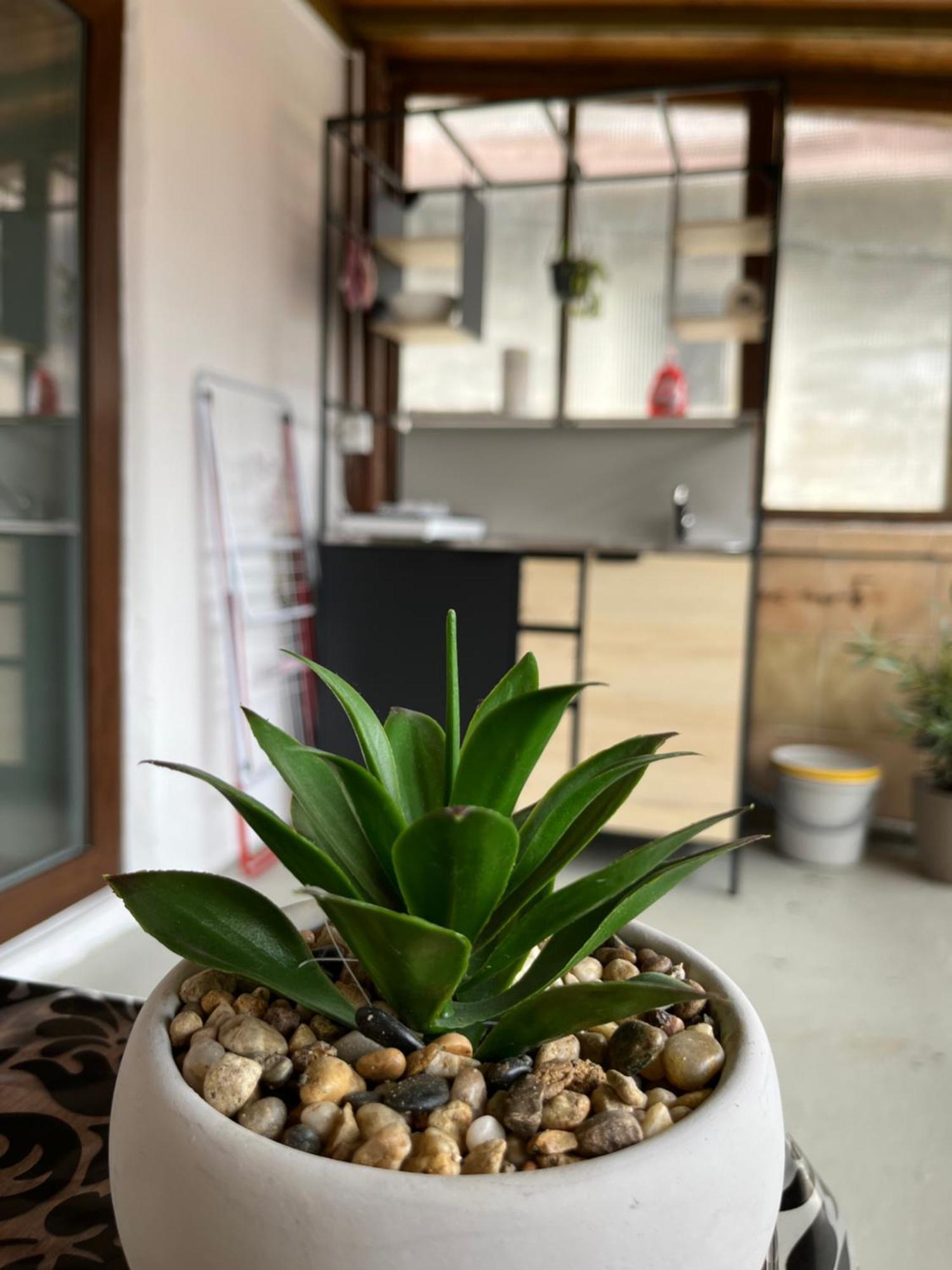 Hisa Megiclinic - Apartments & Healing Center 科巴里德 外观 照片